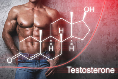 Boosting Testosterone Naturally: The Key to Enhancing Vitality