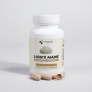 Lion's Mane Mushroom - Nutrigen Boost