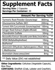 Platinum Turmeric - Nutrigen Boost